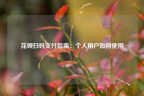 花呗扫码支付指南：个人用户如何使用