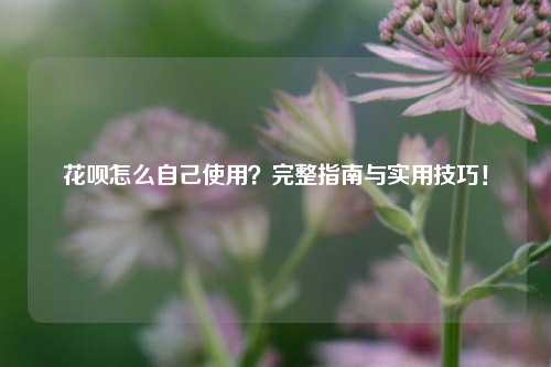 花呗怎么自己使用？完整指南与实用技巧！