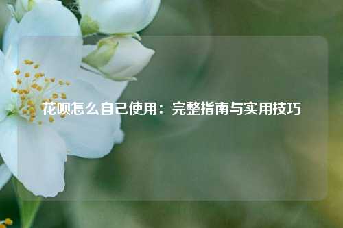 花呗怎么自己使用：完整指南与实用技巧