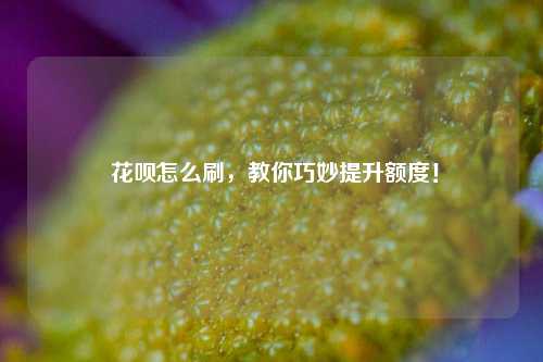  花呗怎么刷，教你巧妙提升额度！