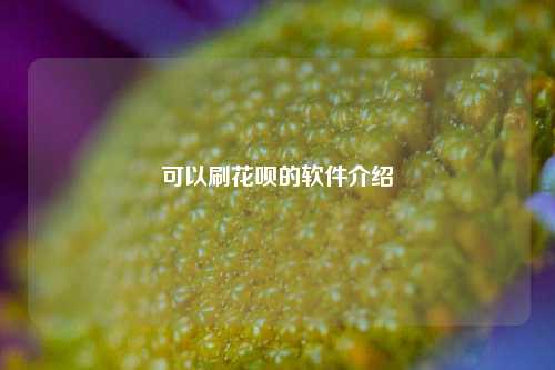 可以刷花呗的软件介绍