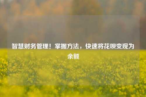 智慧财务管理！掌握方法，快速将花呗变现为余额