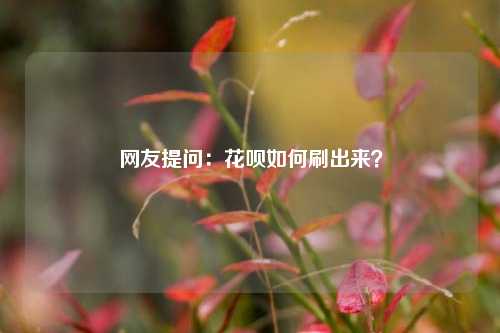 网友提问：花呗如何刷出来？