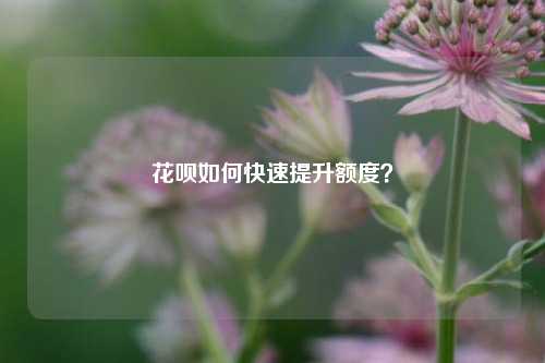 花呗如何快速提升额度？