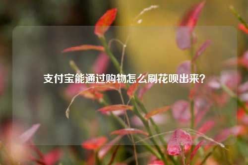 支付宝能通过购物怎么刷花呗出来？