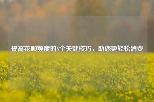 提高花呗额度的5个关键技巧，助您更轻松消费