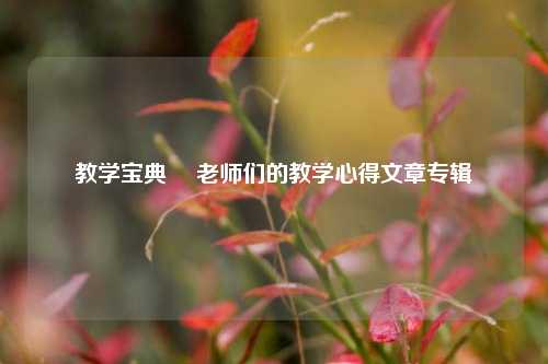 教学宝典– 老师们的教学心得文章专辑