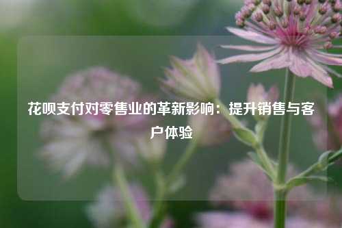 花呗支付对零售业的革新影响：提升销售与客户体验