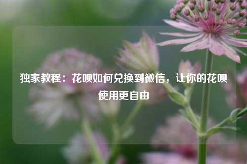 独家教程：花呗如何兑换到微信，让你的花呗使用更自由