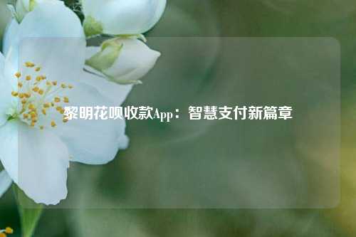 黎明花呗收款App：智慧支付新篇章