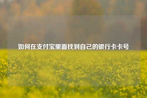 如何在支付宝里面找到自己的银行卡卡号