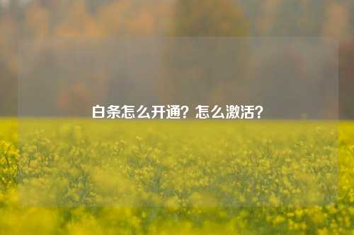 白条怎么开通？怎么激活？