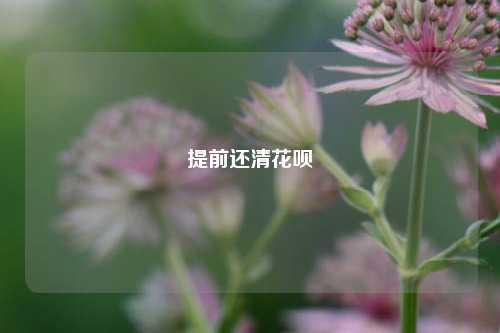 提前还清花呗