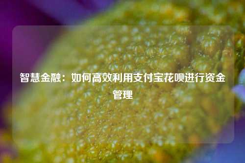 智慧金融：如何高效利用支付宝花呗进行资金管理