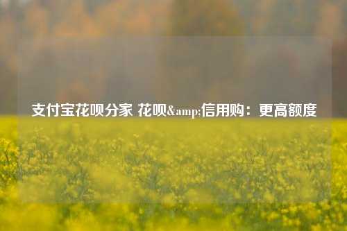 支付宝花呗分家 花呗&信用购：更高额度