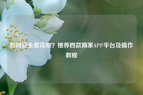 如何安全套花呗？推荐四款商家APP平台及操作教程