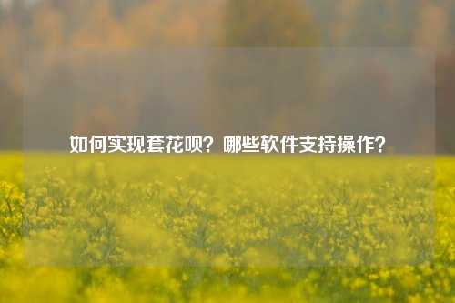 如何实现套花呗？哪些软件支持操作？