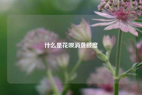 什么是花呗消费额度