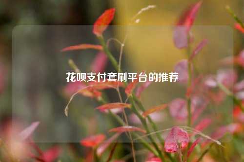 花呗支付套刷平台的推荐