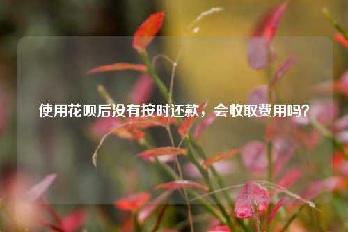 使用花呗后没有按时还款，会收取费用吗？