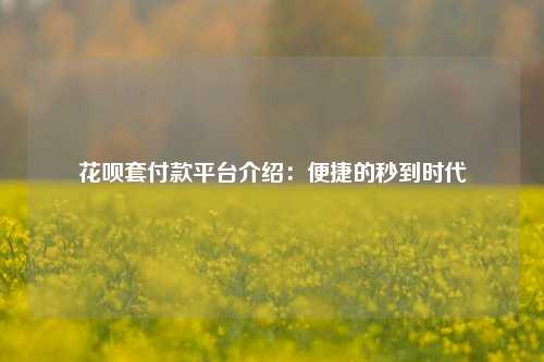 花呗套付款平台介绍：便捷的秒到时代