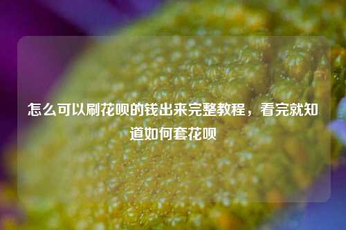 怎么可以刷花呗的钱出来完整教程，看完就知道如何套花呗