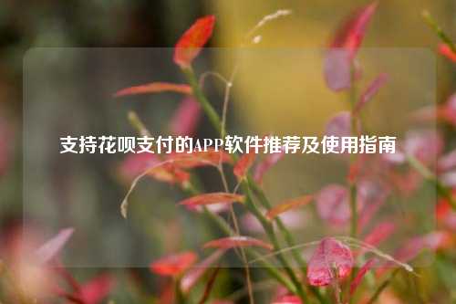 支持花呗支付的APP软件推荐及使用指南